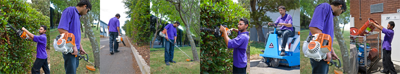 Purple Pear Grounds Maintenance